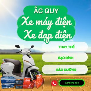 ac quy xe đạp điện