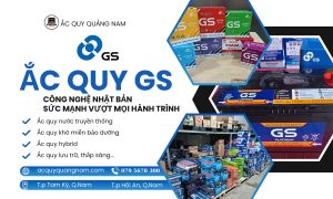 ac quy gs việt nam