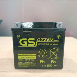 Ắc quy GS GTZ6V