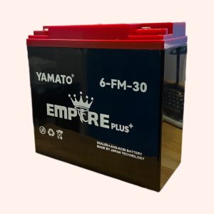 Ắc quy xe đạp điện Yamato 12V 30AH